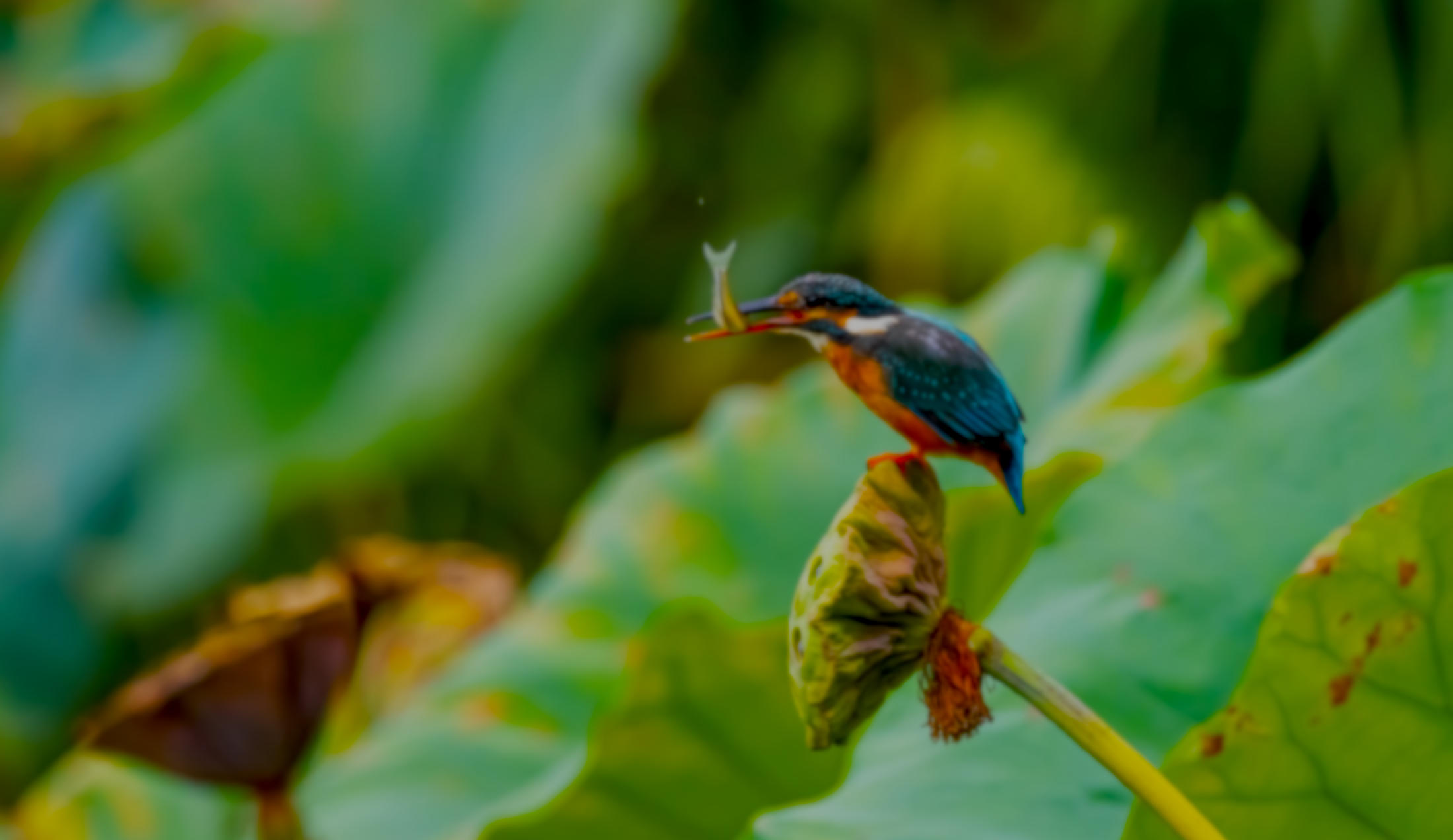 "Amikor nem tudod, mi lesz, akkor kezdesz el élni."